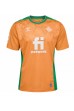 Fotbalové Dres Real Betis Borja Iglesias #9 Třetí Oblečení 2022-23 Krátký Rukáv